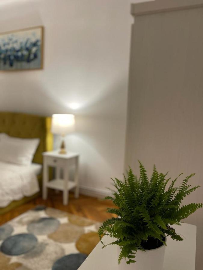 Cityviews Apartment Cluj المظهر الخارجي الصورة