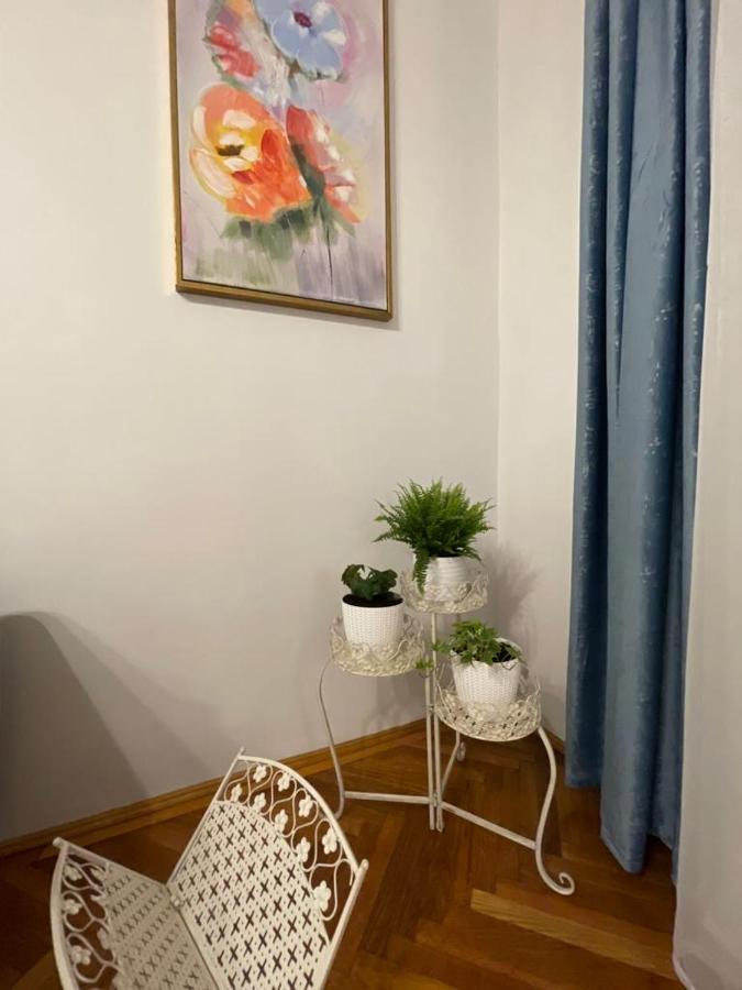 Cityviews Apartment Cluj المظهر الخارجي الصورة