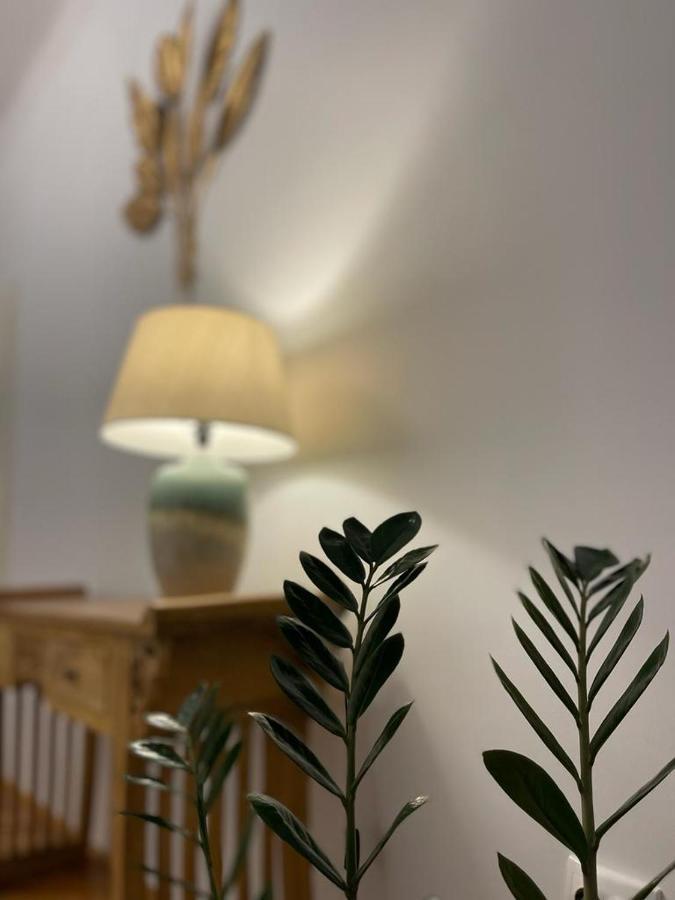 Cityviews Apartment Cluj المظهر الخارجي الصورة
