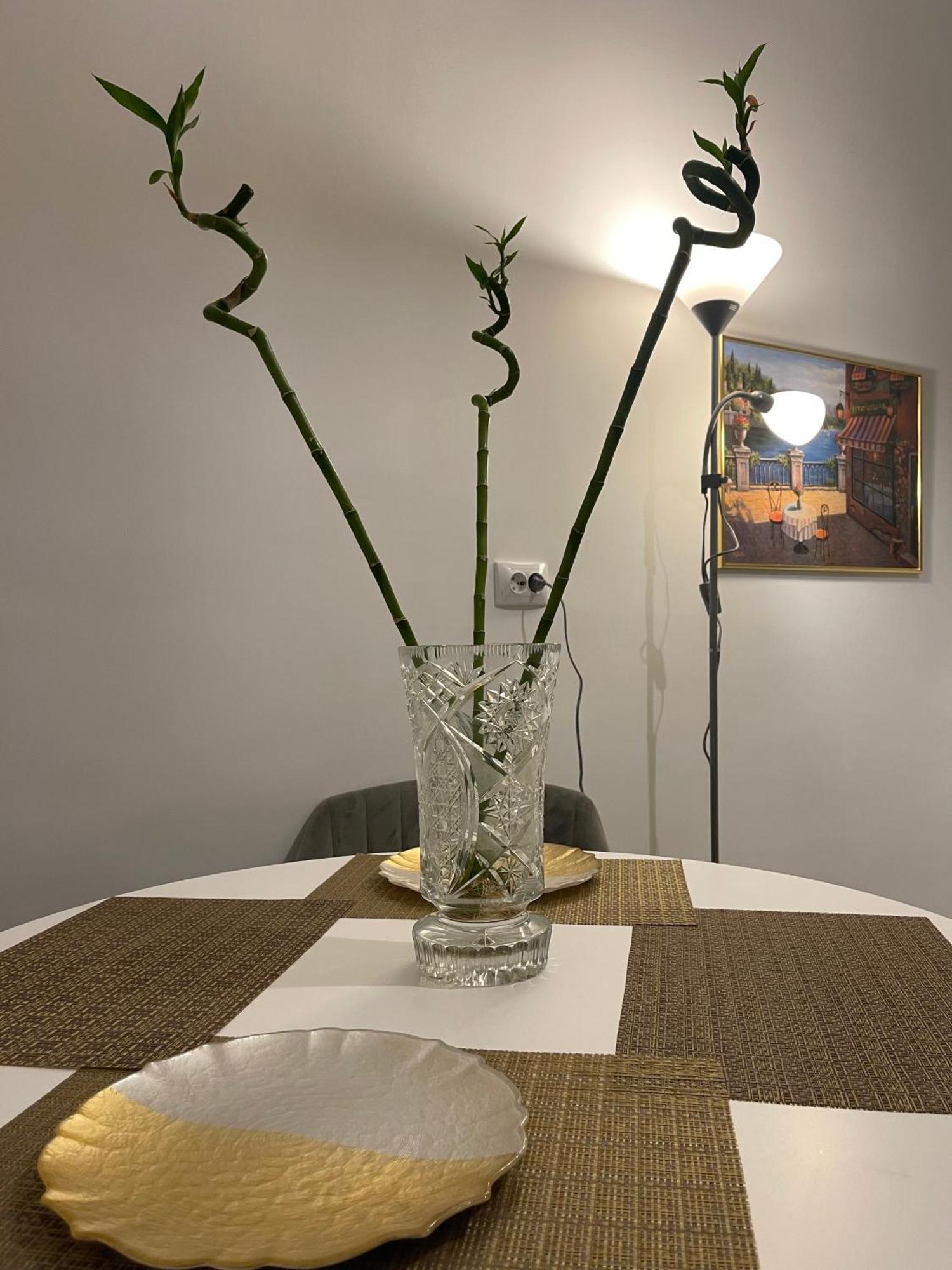 Cityviews Apartment Cluj المظهر الخارجي الصورة
